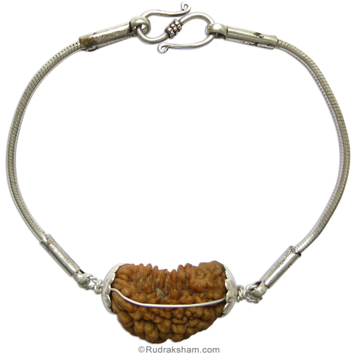  Ek Mukhi Rudraksha Bead Snake Chain Silver Bracelet | Half Moon Shaped Indian One Mukhi Rudraksha Bead Silver Chain Bracelet