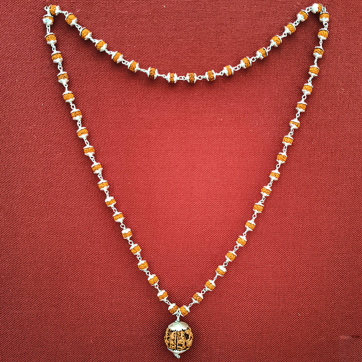 Original 5 Mukhi Rudraksha from Nepal – Health, Wellness & Purity