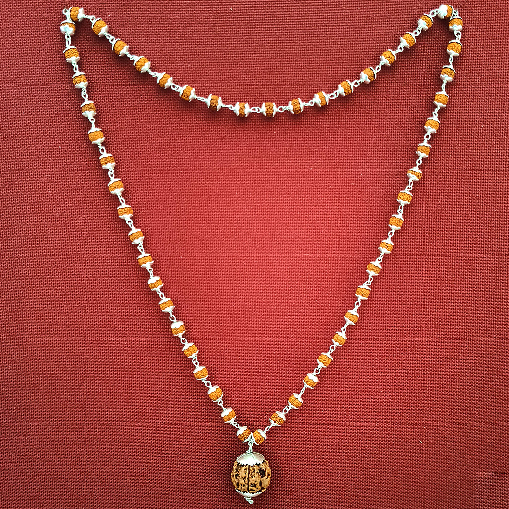 6 Mukhi Rudraksha Bead from Nepal, Six Mukhi Faced Spiritual Rudraksha Bead