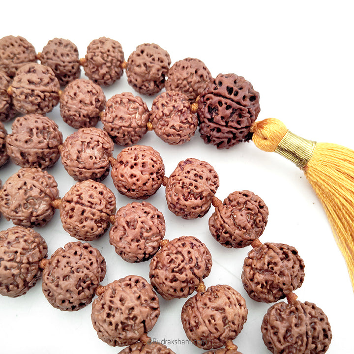 5 Mukhi Rudraksha Nepalese Japa Mala Rosary | 108 Beads Nepal Rudraksha Kantha Mala In Thread