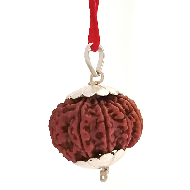 (29.30mm) 10 Mukhi Rudraksha Super Collector Silver Pendant | Dus Mukhi, Ten Faced Shiva Bead from Nepal - Narayan Rudraksha