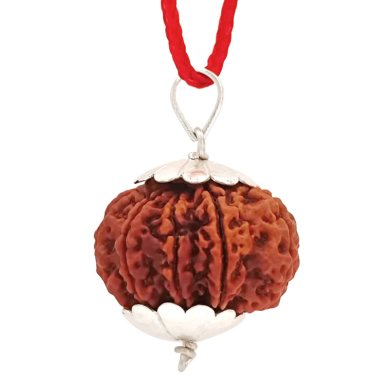 (29.30mm) 10 Mukhi Rudraksha Super Collector Silver Pendant | Dus Mukhi, Ten Faced Shiva Bead from Nepal - Narayan Rudraksha