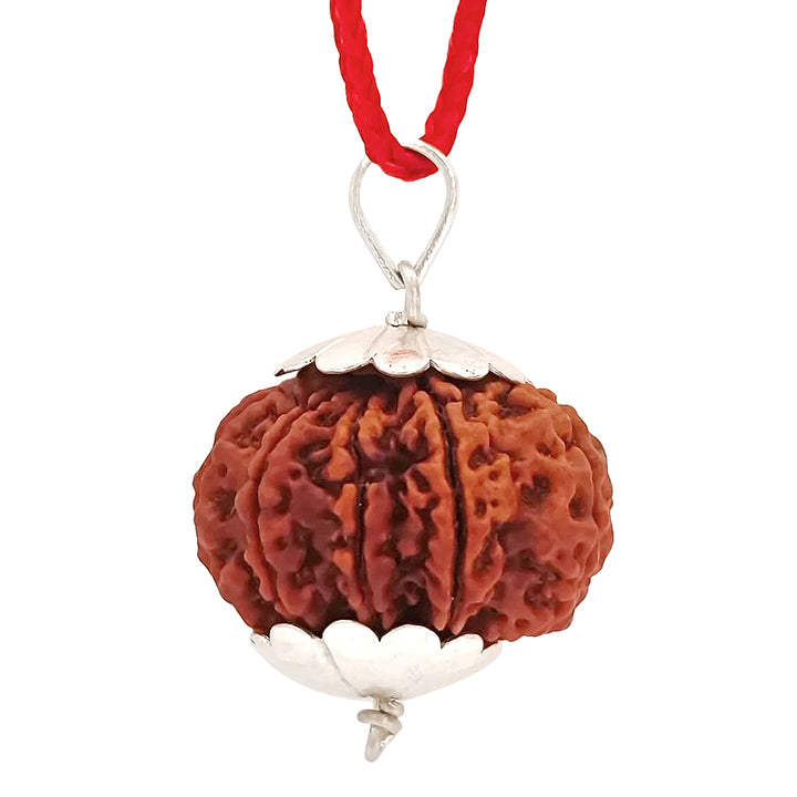 (29.30mm) 10 Mukhi Rudraksha Super Collector Silver Pendant | Dus Mukhi, Ten Faced Shiva Bead from Nepal - Narayan Rudraksha
