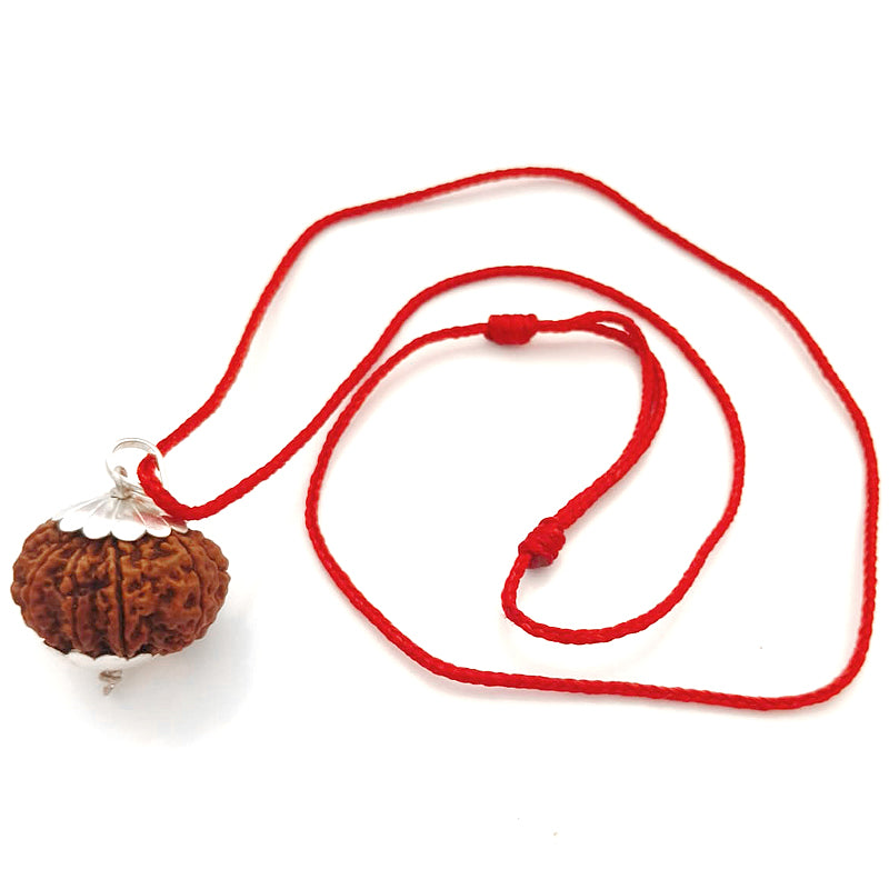 (29.30mm) 10 Mukhi Rudraksha Super Collector Silver Pendant | Dus Mukhi, Ten Faced Shiva Bead from Nepal - Narayan Rudraksha