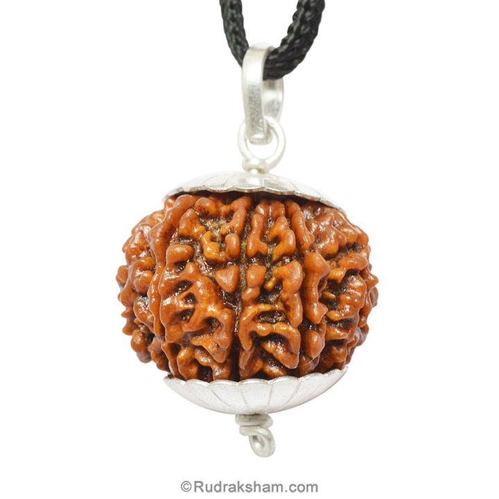 Collector 10 Mukhi Rudraksha Pendant | Dus Mukhi Pendant | Large and High Quality Ten Mukhi Silver Pendant