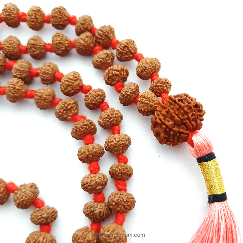 10 Mukhi Rudraksha Indonesian Beads Japa Mala | 108 Beads Java Dus Mukhi Rudraksha Beads Kantha Mala | Dus Mukhi Mala Rosary