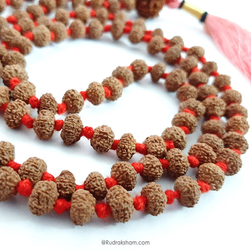 10 Mukhi Rudraksha Indonesian Beads Japa Mala | 108 Beads Java Dus Mukhi Rudraksha Beads Kantha Mala | Dus Mukhi Mala Rosary