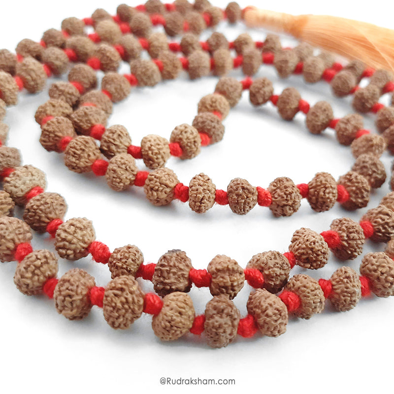 10 Mukhi Rudraksha Indonesian Beads Japa Mala | 108 Beads Java Ten Mukhi Rudraksha Beads Kantha Mala | Dus Mukhi Mala Rosary