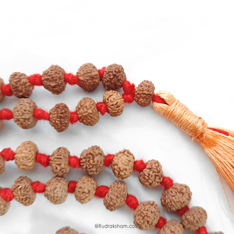 10 Mukhi Rudraksha Indonesian Beads Japa Mala | 108 Beads Java Ten Mukhi Rudraksha Beads Kantha Mala | Dus Mukhi Mala Rosary