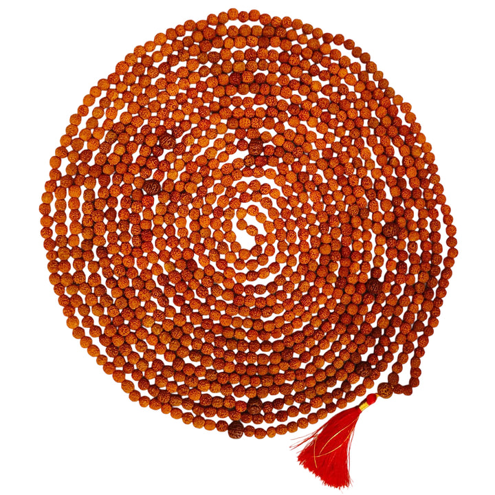 1008 Beads 5 Mukhi Rudraksha Mala with Tassel ( 12 mm ) | Spiritual & Meditation Rosary, Original and Energised Rudraksha mala 1008 beads necklace