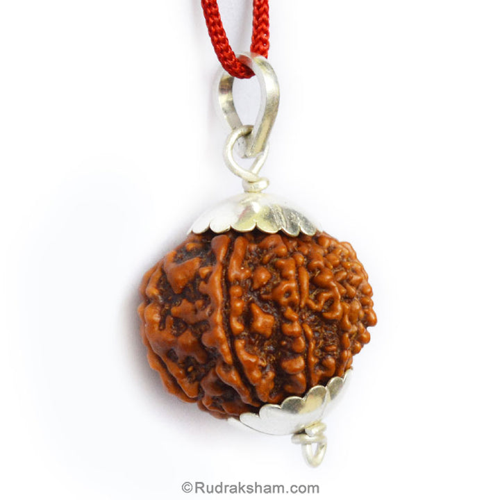  High Quality Eleven Mukhi Pendant | Gyarah Mukhi Collector Rudraksha Pendant from Nepal