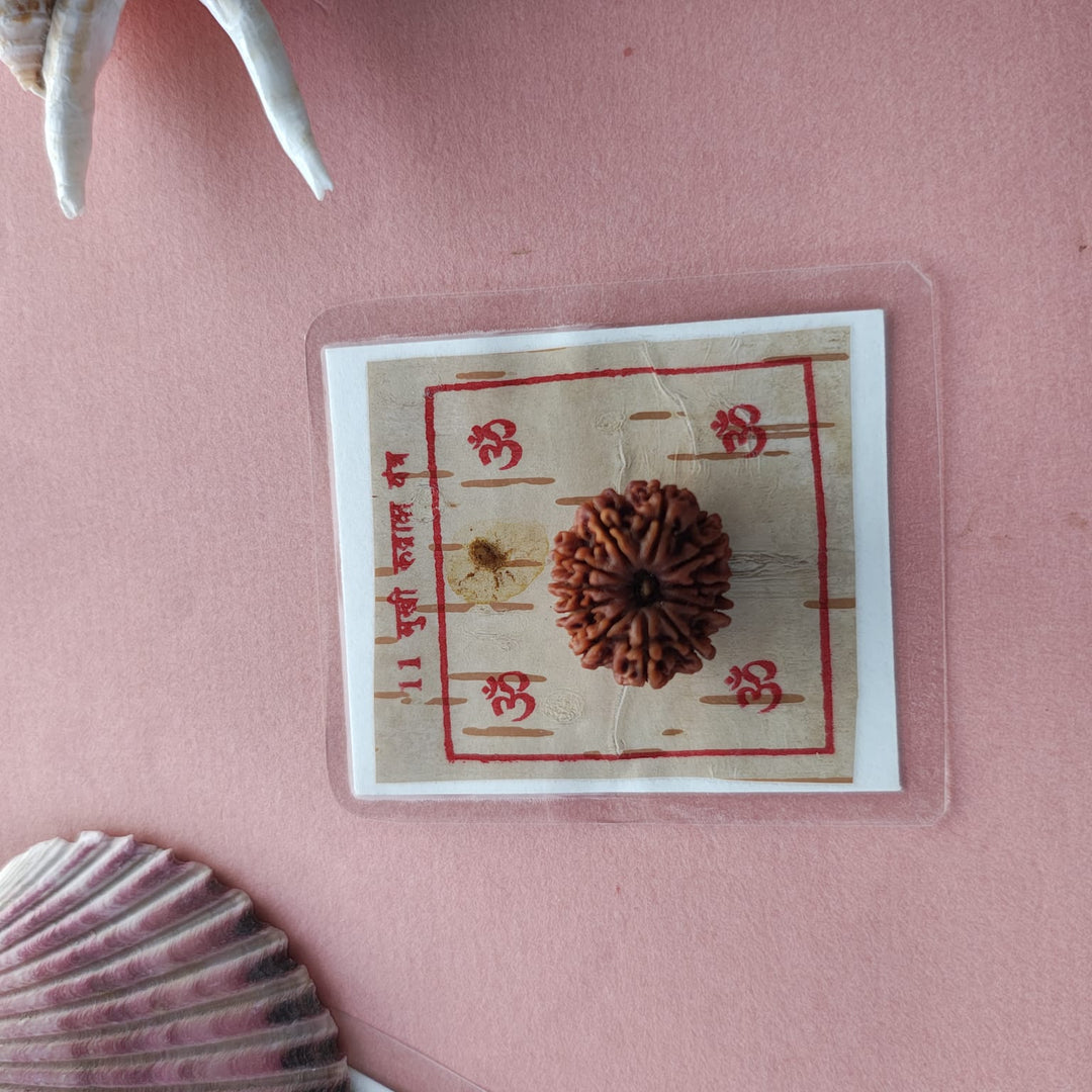 11-Mukhi Rudraksha Yantra Altar – Hand-Inscribed Bhojpatra | Hanuman Energy (Pre-Energized)