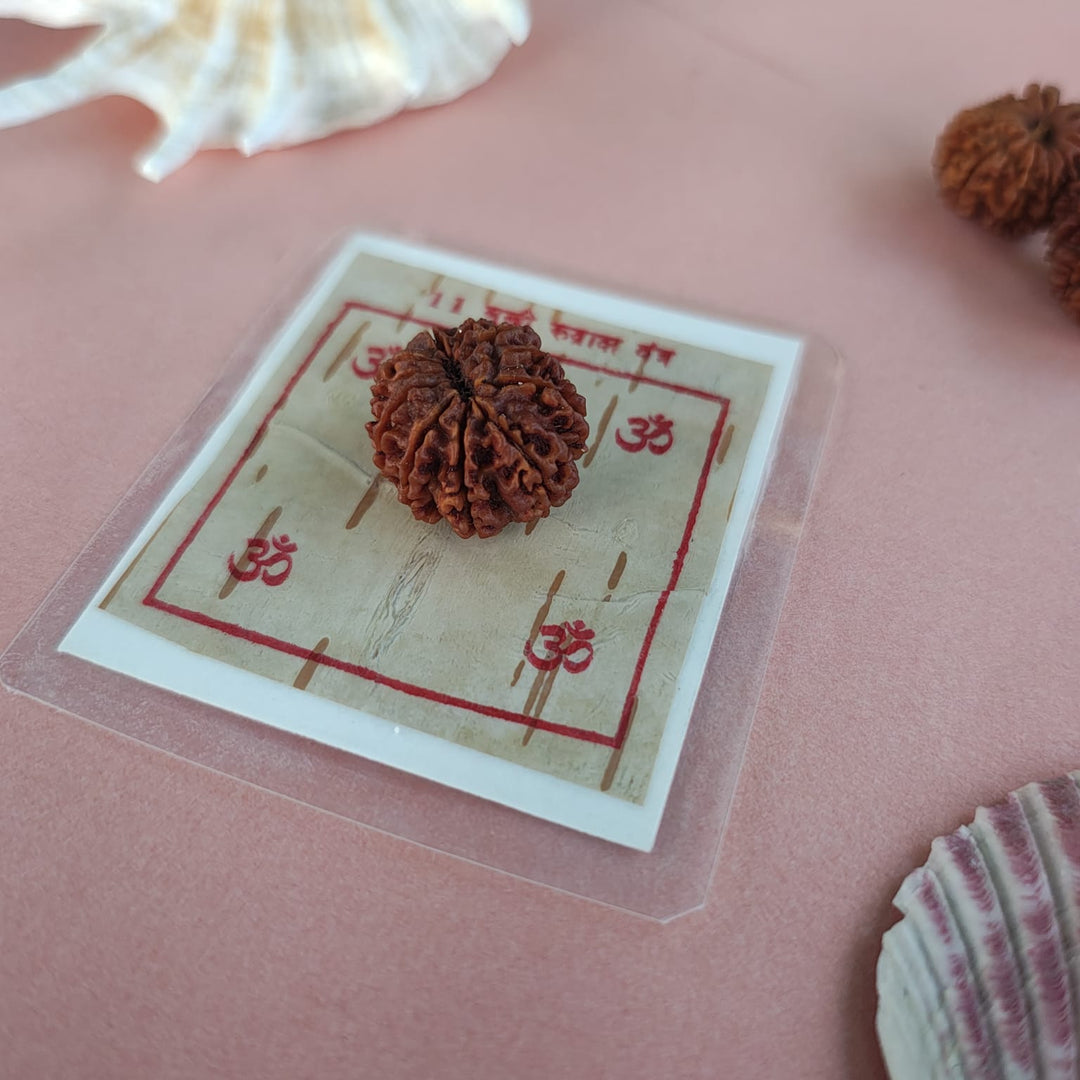 11-Mukhi Rudraksha Yantra Altar – Hand-Inscribed Bhojpatra | Hanuman Energy (Pre-Energized)