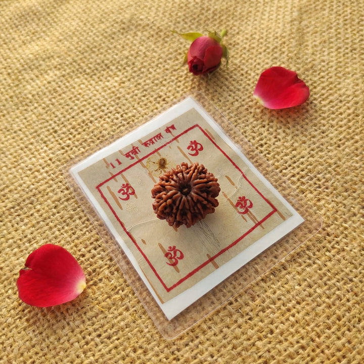 11-Mukhi Rudraksha Yantra Altar – Hand-Inscribed Bhojpatra | Hanuman Energy (Pre-Energized)