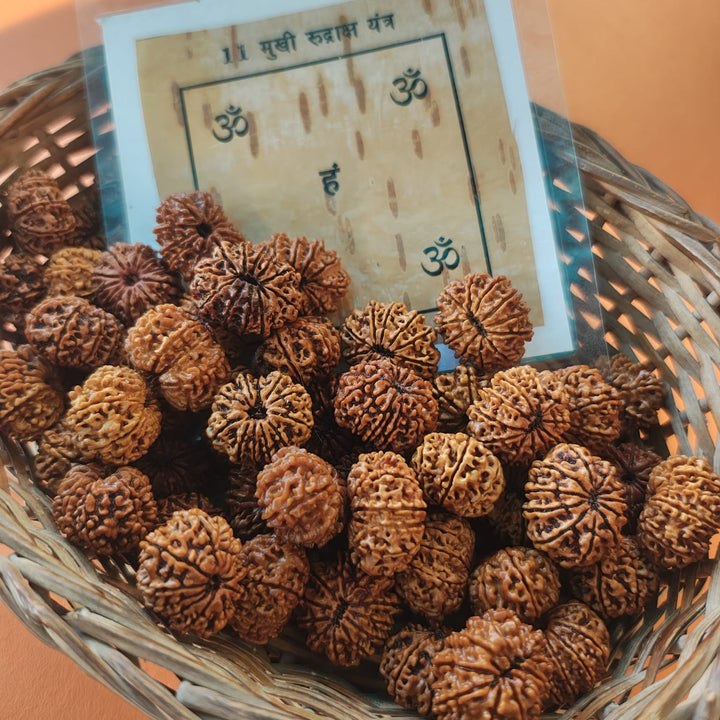 11-Mukhi Rudraksha Yantra Altar – Hand-Inscribed Bhojpatra | Hanuman Energy (Pre-Energized)