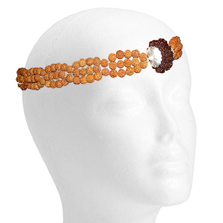 14 Mukhi Rudraksha Headband for Meditation | 14 Mukhi Rudraksha Bead, Third Eye Opener,  Pure Natural Energised Fourteen Faced Rudraksha Bead from Nepal