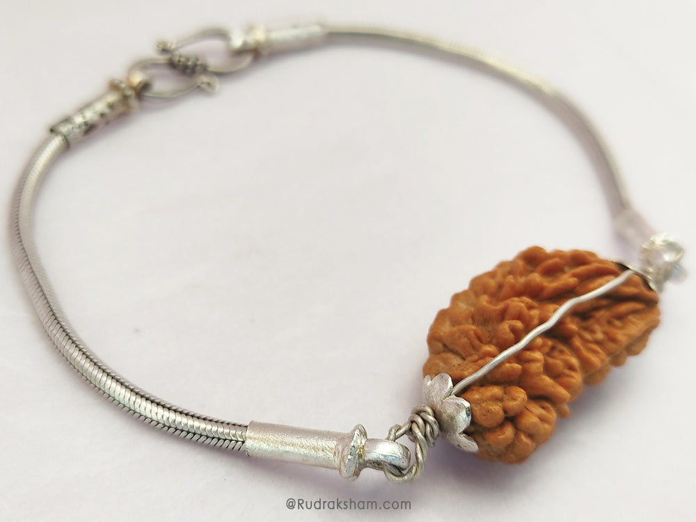  Ek Mukhi Rudraksha Bead Snake Chain Silver Bracelet | Half Moon Shaped Indian One Mukhi Rudraksha Bead Silver Chain Bracelet