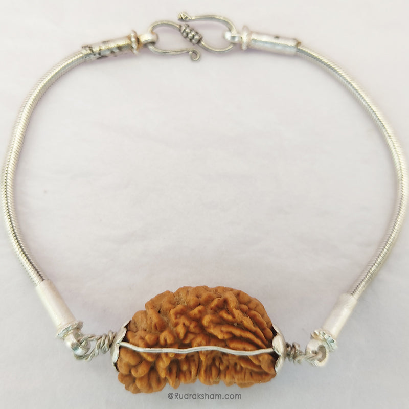  Ek Mukhi Rudraksha Bead Snake Chain Silver Bracelet | Half Moon Shaped Indian One Mukhi Rudraksha Bead Silver Chain Bracelet