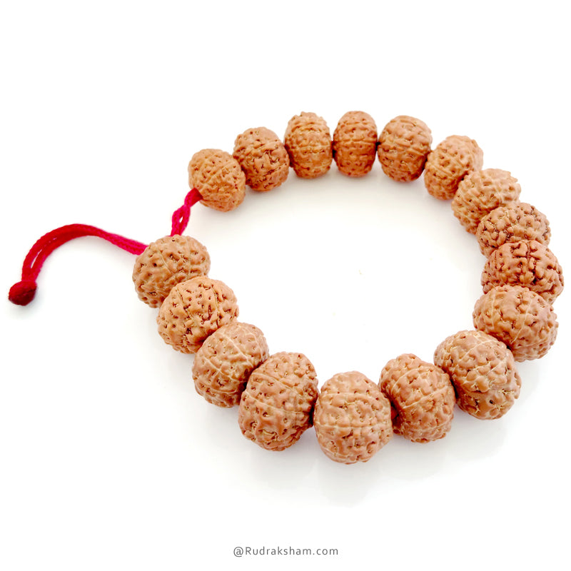 8 Mukhi Rudraksha Bead Mala Bracelet | Eight Mukhi Rudraksha Thread Bracelet