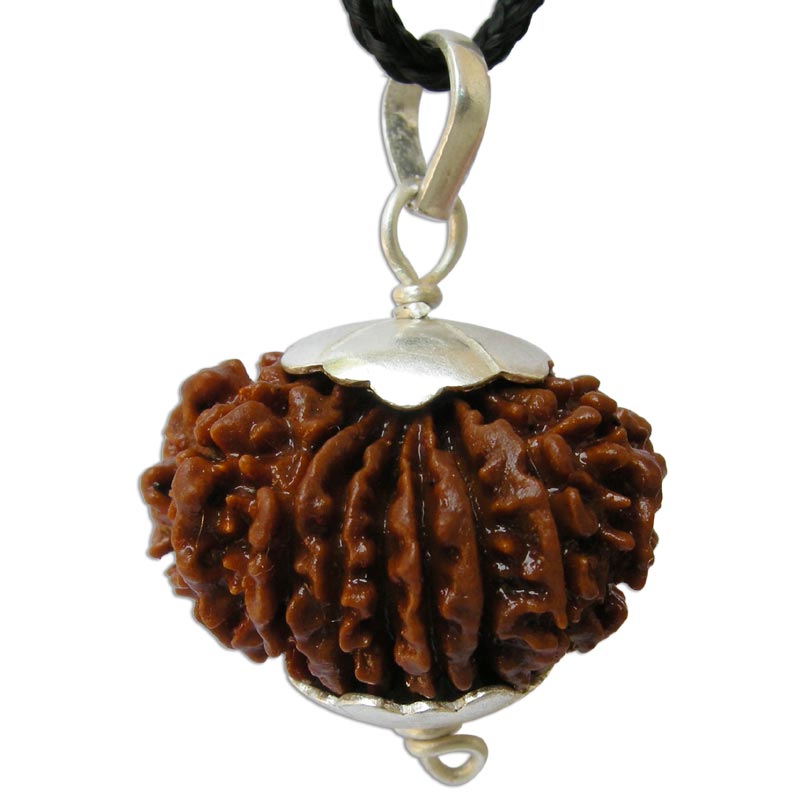 17 Mukhi Rudraksha Bead Pendant | Rare Nepal Seventeen Faced Rudraksha Pendant in Silver Energised | Natural Rudraksha Bead