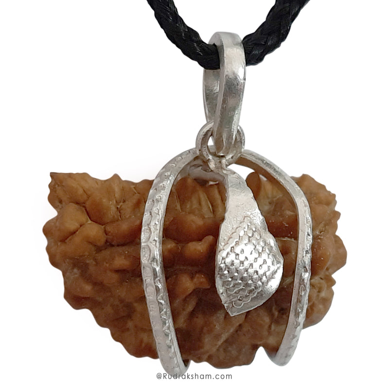 1 Mukhi Rudraksha Silver Snake Pendant | Indian Ek Mukhi Rudraksha Pendant