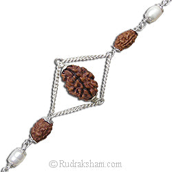 2 Mukhi Rudraksha and Pearl Silver Bracelet | Two Mukhi Rudraksha Indian & Java Beads Silver Bracelet | Do Mukhi Rudraksha & Pearl Beads wrist Bracelet with Silver Caps