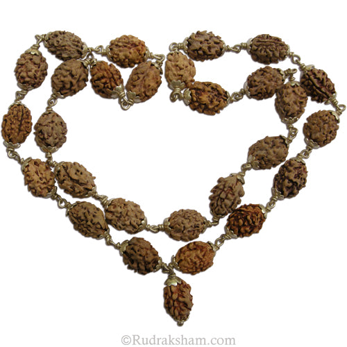 2 Mukhi Rudraksha Beads Mala Necklace | 2 Mukhi Unity Mala | Two Mukhi Silver Caps Mala | Energized Indian Two Faced 27 Beads Mala Rosary