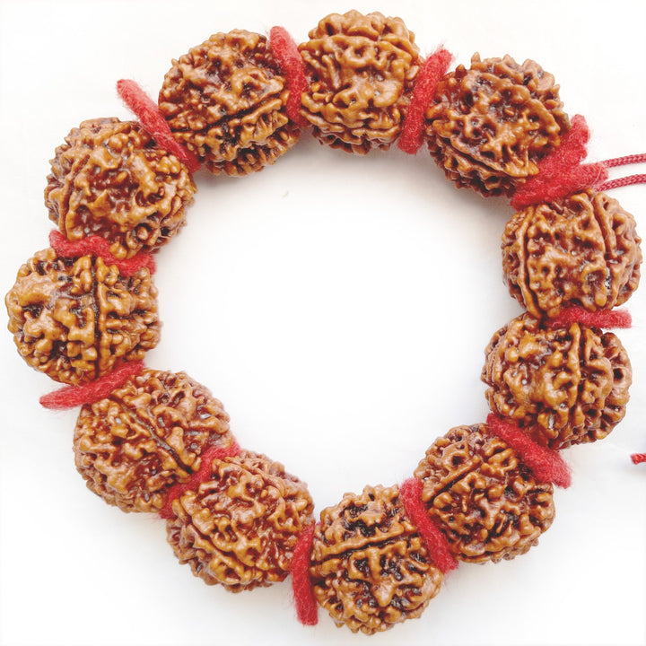 ( 25-27mm ) 5 Mukhi Giant Rudraksha Bead Mala Bracelet | High Quality Giant Collector Grade Five Faced Rudraksha Beads | 11 Beads Of 5 Mukhi