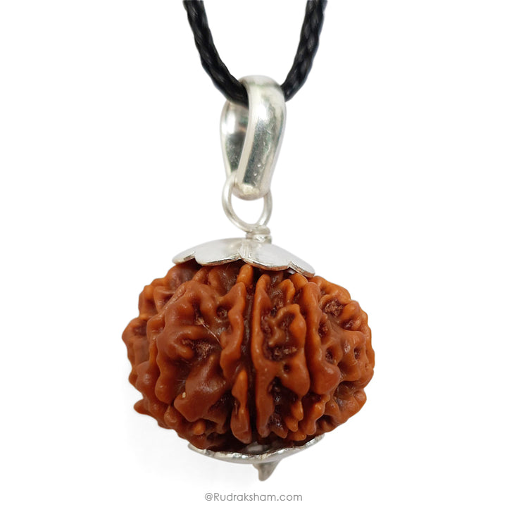 9 Mukhi Rudraksha Bead | 9 Faced Nepal Rudraksha Bead Original and Energised Nau Mukhi | Buy Online 9 Mukhi Rudraksha