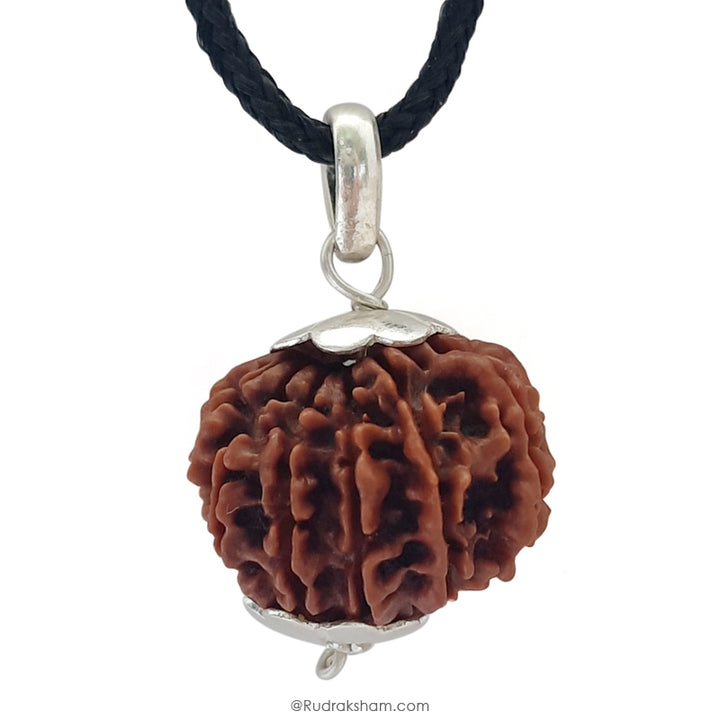 13 Mukhi Rudraksha Bead from Nepal | Buy Original Thirteen Mukhi Rudraksha Spiritual bead For Attraction
