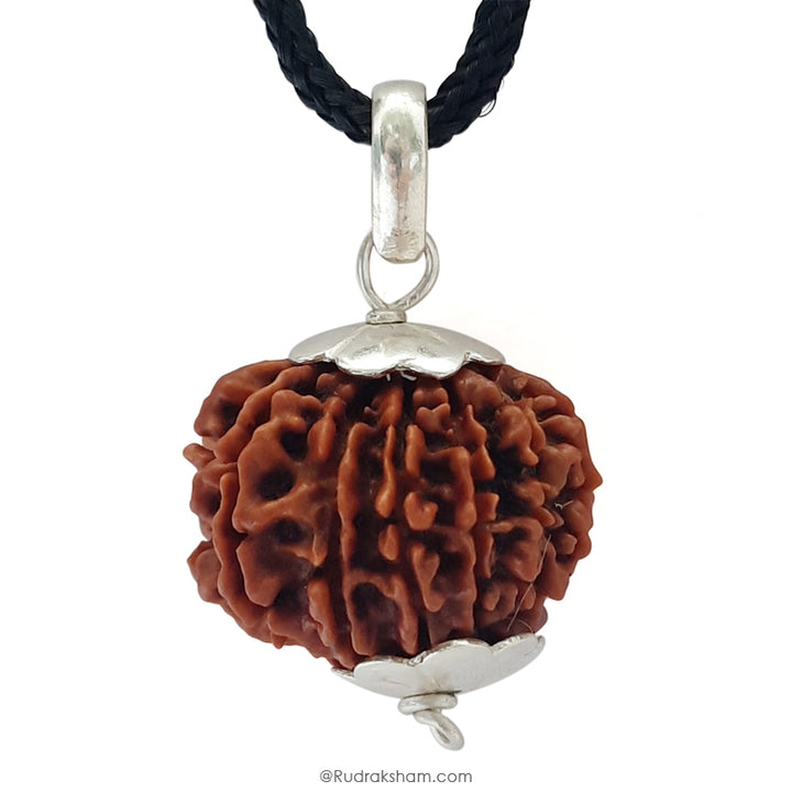 14 Mukhi Rudraksha Bead, Third Eye Opener, 14 Faced Rudraksha Bead from Nepal Spiritual Pure Natural Energised Rudraksha Bead