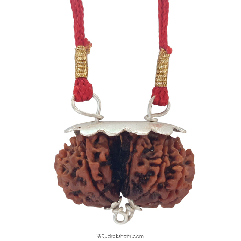 Gauri Shankar Rudraksha Bead | Gauri Shankar | Shiva Parvati Nepal Bead | Original Energised 100% Natural Bead
