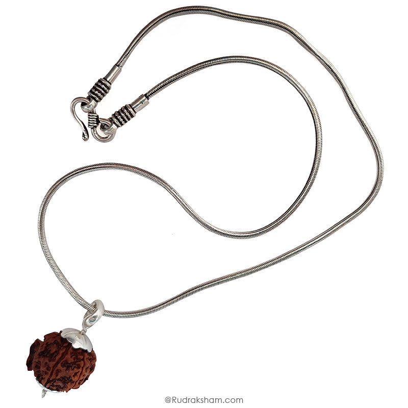 Ganesh Rudraksha Bead | 100% Original Energised Natural Spiritual Ganesha Rudraksha Bead from Nepal