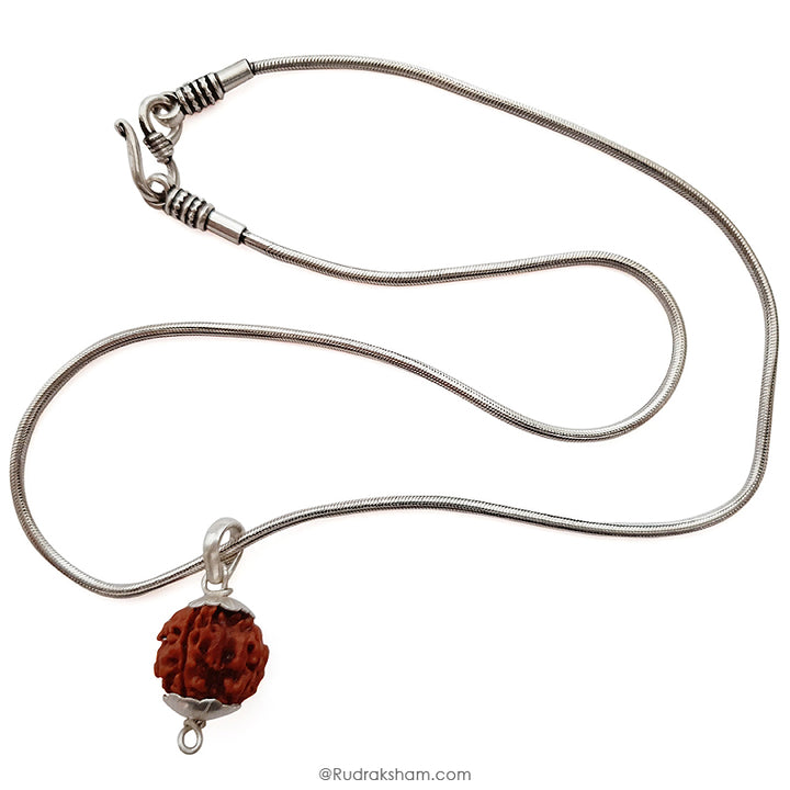 4 Mukhi Rudraksha Bead | 4 Faced Rudraksha From Nepal Buy Original & Genuine Beads Char Mukhi