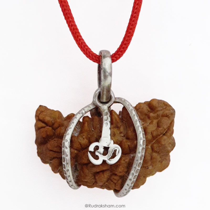 1 Mukhi Rudraksha Bead | Ek Mukhi Rudraksha Indian Origin One Mukhi Rudraksha Bead Kaju Dana Rudraksha | High Quality