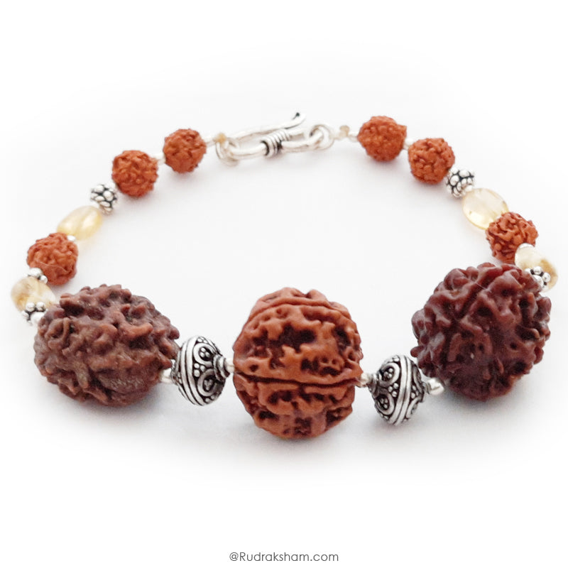  3 Mukhi Rudraksha and 5 Mukhi Rudraksha with Golden Topaz Gemstone Beads in Silver | Energised Bracelet