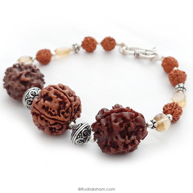  Scorpio Zodiac Sun Sign Bracelet | Vrishchik ( Vrischika ) Rashi Bracelet | A Combination of 2 Mukhi Rudraksha