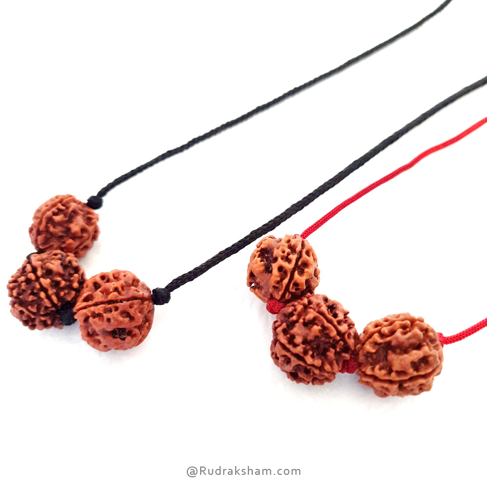 Education Necklace | Saraswati Thread Pendant | Ideal For Students | Combination of 6 Mukhi Rudraksha and 4 Mukhi Rudraksha