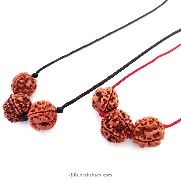 Education Necklace | Saraswati Thread Pendant | Ideal For Students | Combination of 6 Mukhi Rudraksha and 4 Mukhi Rudraksha