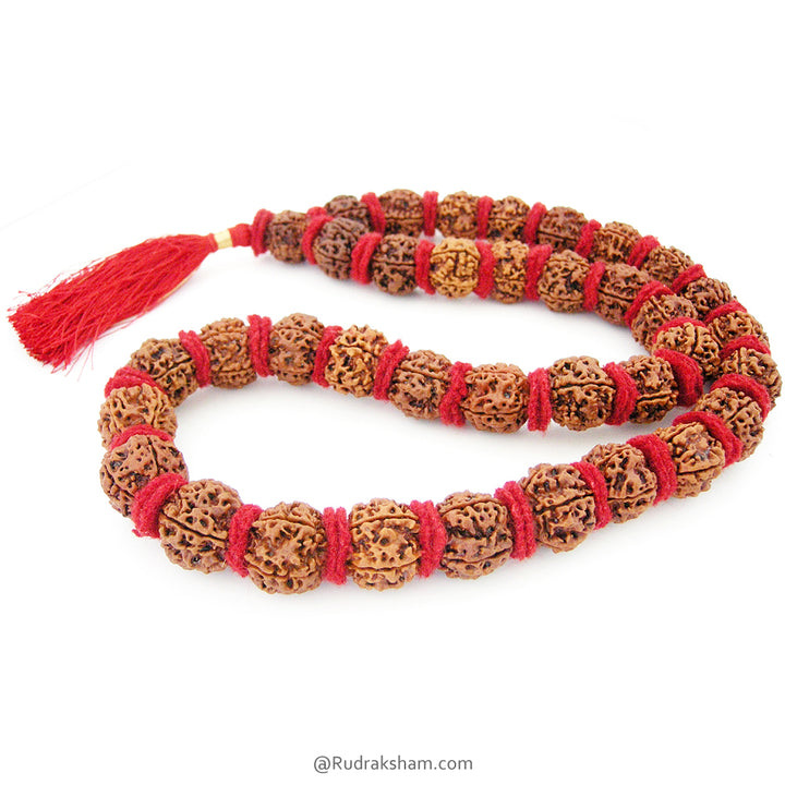 ( 23-24mm ) 5 Mukhi Giant Rudraksha Bead Kantha Mala Necklace 37 Beads | High Quality Giant Collector Grade Rudraksha Beads
