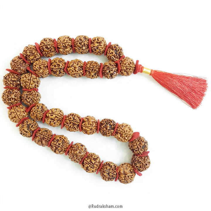 ( 25-27mm ) 5 Mukhi Super Giant Rudraksha Bead Kantha Mala Necklace 33 Beads | High Quality Giant Collector Grade Rudraksha Beads
