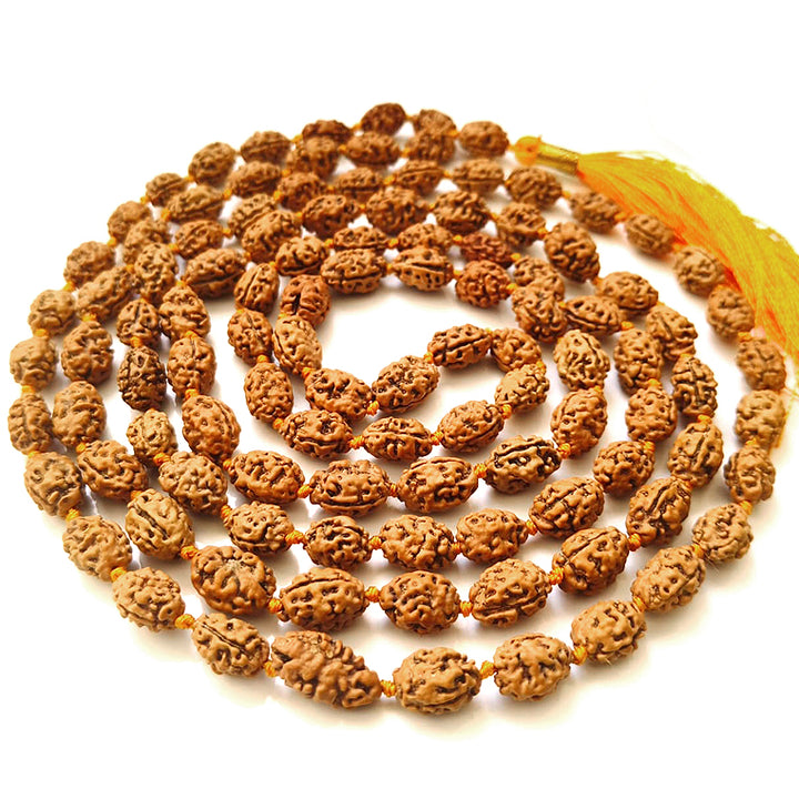 2 Mukhi Rudraksha Indonesian Beads Japa Mala | 108 Beads Java Two Mukhi Rudraksha Beads Kantha Mala | Unity Mala