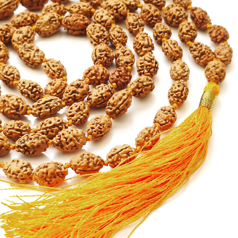 2 Mukhi Rudraksha Indonesian Beads Japa Mala | 108 Beads Java Two Mukhi Rudraksha Beads Kantha Mala | Unity Mala