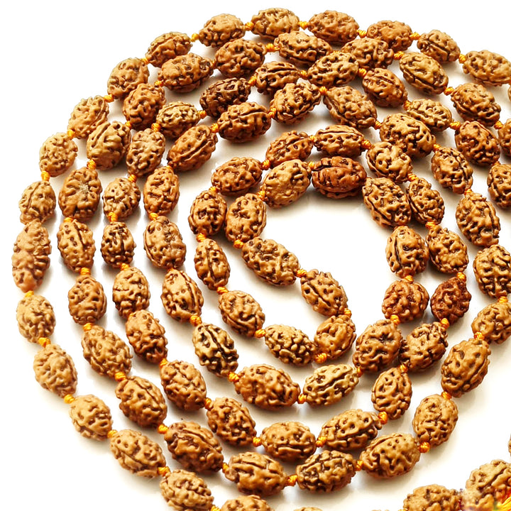 2 Mukhi Rudraksha Indonesian Beads Japa Mala | 108 Beads Java Two Mukhi Rudraksha Beads Kantha Mala | Unity Mala