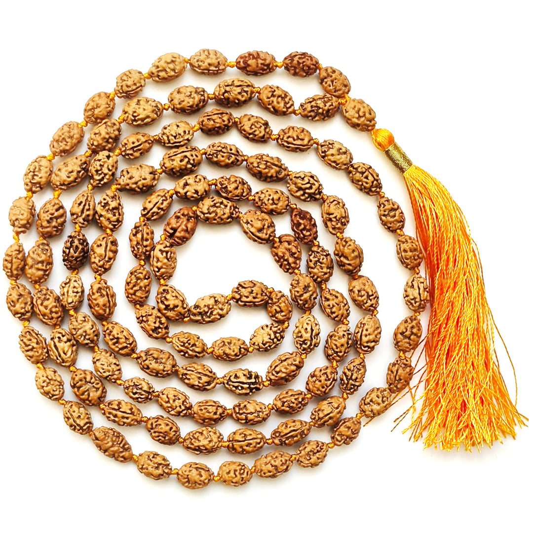 2 Mukhi Rudraksha Indonesian Beads Japa Mala | 108 Beads Java Two Mukhi Rudraksha Beads Kantha Mala | Unity Mala