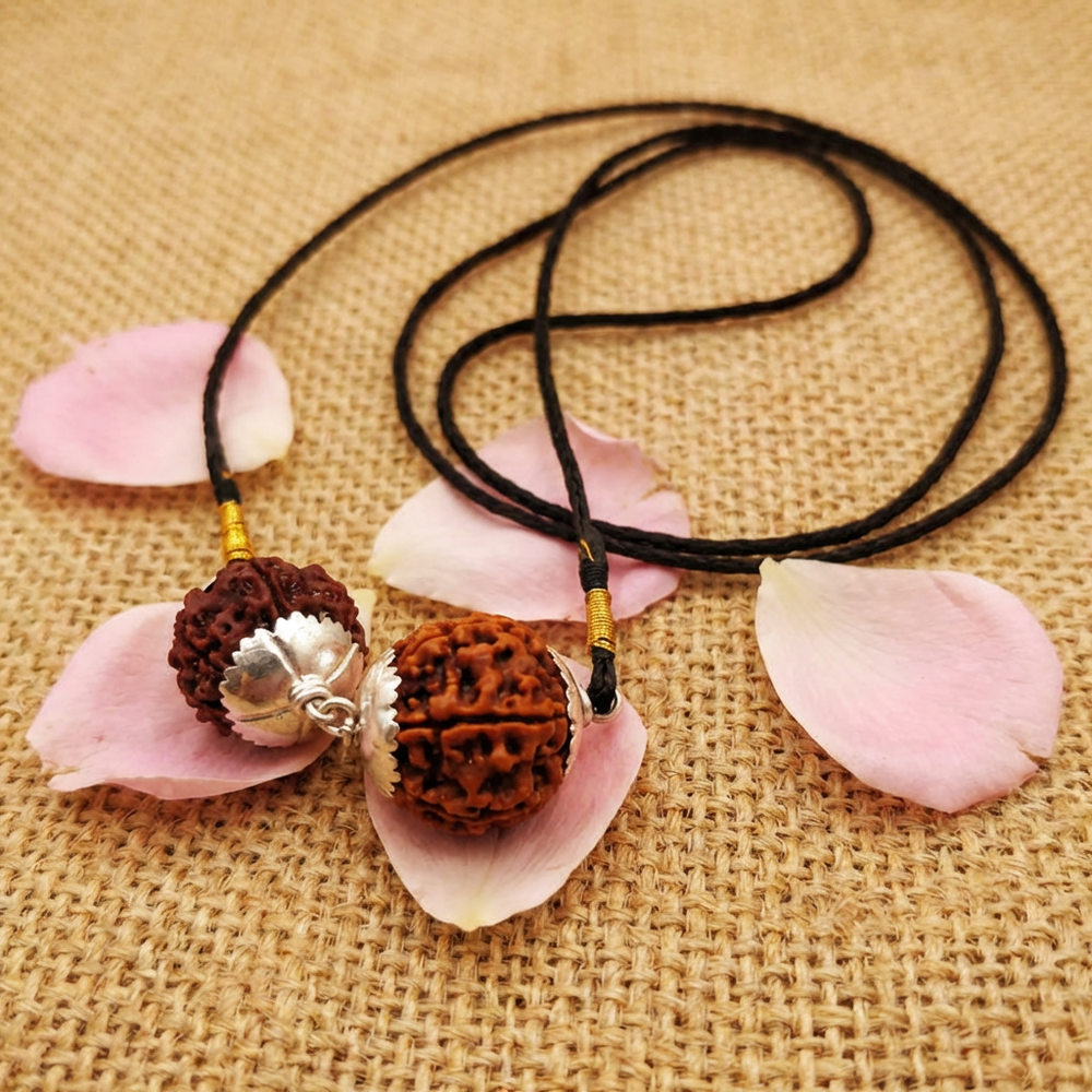 Aquarius (Kumbha) Social Impact & Income Bundle - 6 & 7 Mukhi Rudraksha