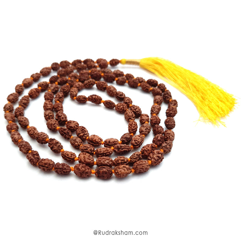  2 Mukhi Rudraksha Indonesian Beads Japa Mala | 108 Beads Java Two Mukhi Rudraksha Beads Kantha Mala | Unity Mala