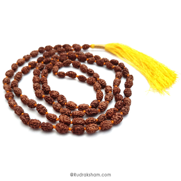  2 Mukhi Rudraksha Indonesian Beads Japa Mala | 108 Beads Java Two Mukhi Rudraksha Beads Kantha Mala | Unity Mala