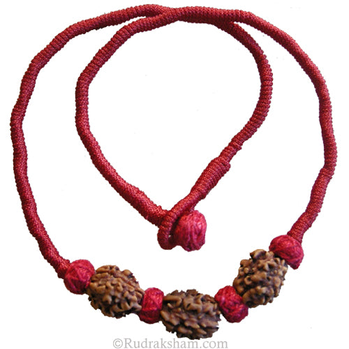 2 Mukhi Rudraksha Bead Triple Pendant In Thread | Two Mukhi