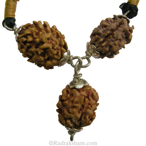 2 Mukhi Rudraksha Bead Triple Pendant in Silver | Two Mukhi
